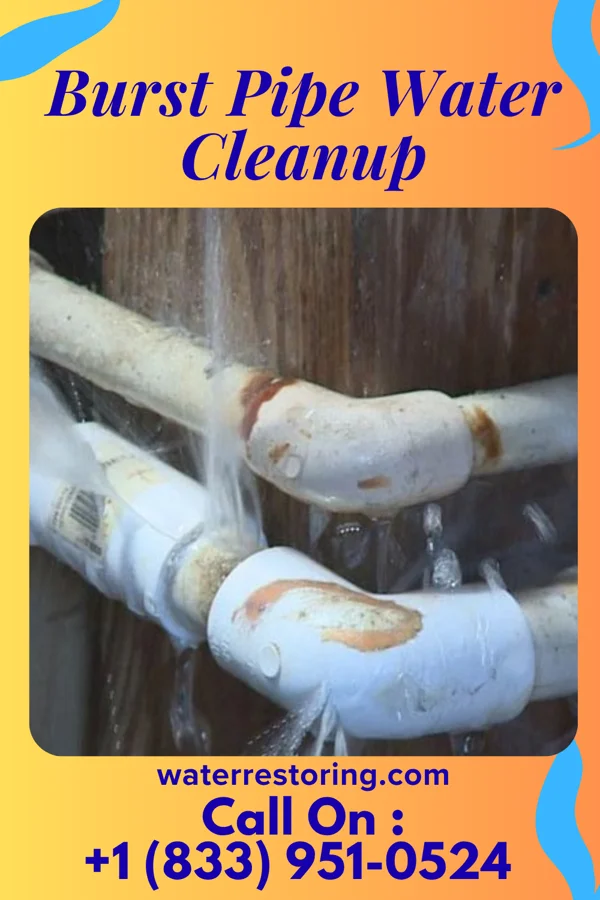 Burst Pipe Water Cleanup in Lindsay, OK