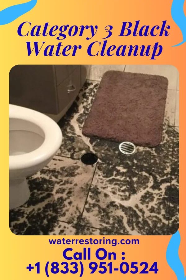 Category 3 Black Water Cleanup in Lindsay, OK